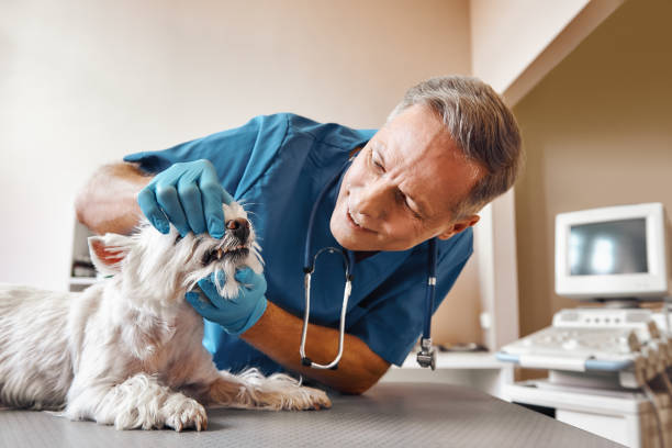 Best Emergency Wisdom Tooth Extraction in Parsons, KS